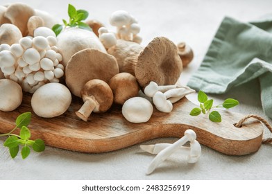 雹 github：如何利用GitHub管理和分享气象数据的最佳实践