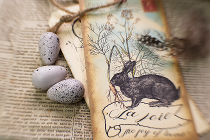 金银花露的小说全集：探索心灵深处的浪漫与幻想之旅