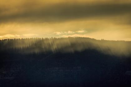 酷客影院官网：畅享最新电影与精彩影评的最佳平台