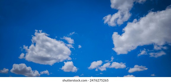 野蛮女友电视剧免费播放：畅享经典爱情故事，感受青春的热血与幽默