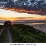 青桔网官网入口:轻松访问青桔网,获取最新服务信息与优惠活动 cumo2zf