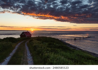 青桔网官网入口：轻松访问青桔网，获取最新服务信息与优惠活动