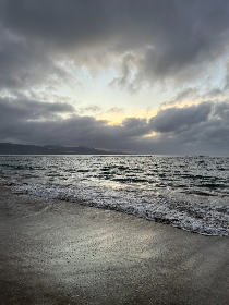 青桔网游戏：探索全新在线游戏世界的无限乐趣与挑战