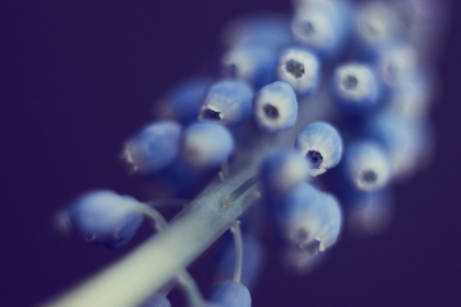 铃木美咲与卡芙卡：探索她的艺术与人生之旅