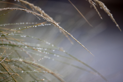 酷客影视电视剧在线观看免费：畅享最新热门剧集，随时随地免费观看！