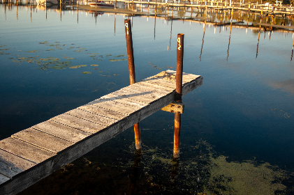 金银花露：探寻作者笔下的小说世界与创作历程