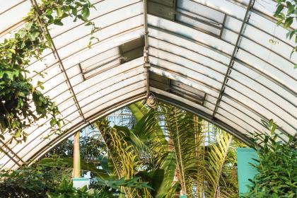 镜头评测：探索不同品牌镜头的性能与拍摄效果