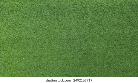 青柠起始页官网常见问题解答与使用指南