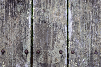 青苹果影视YY4480殇情：探寻爱情与失落的交织